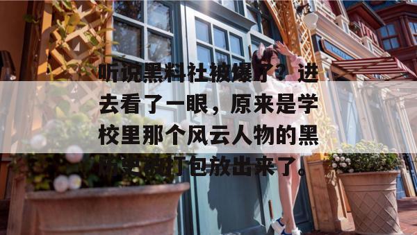 听说黑料社被爆了？进去看了一眼，原来是学校里那个风云人物的黑历史被打包放出来了。